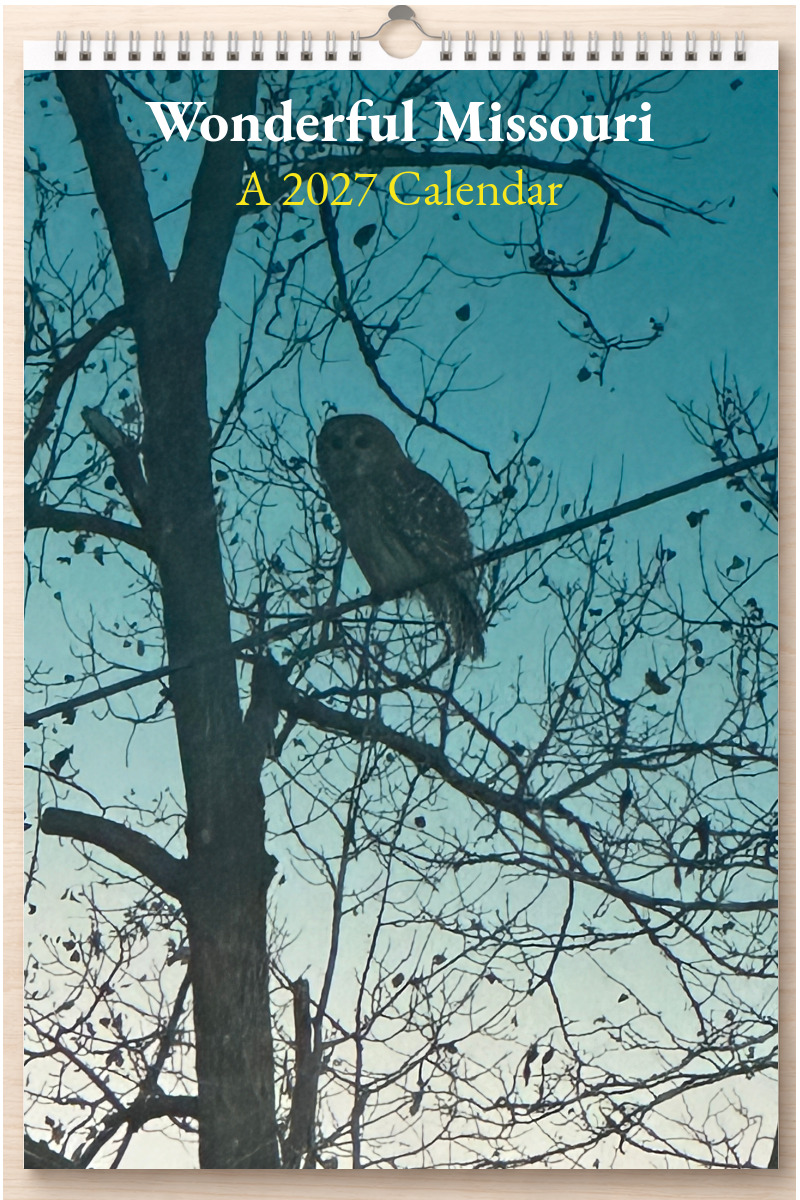 Wonderful Missouri: A 2027 Calendar