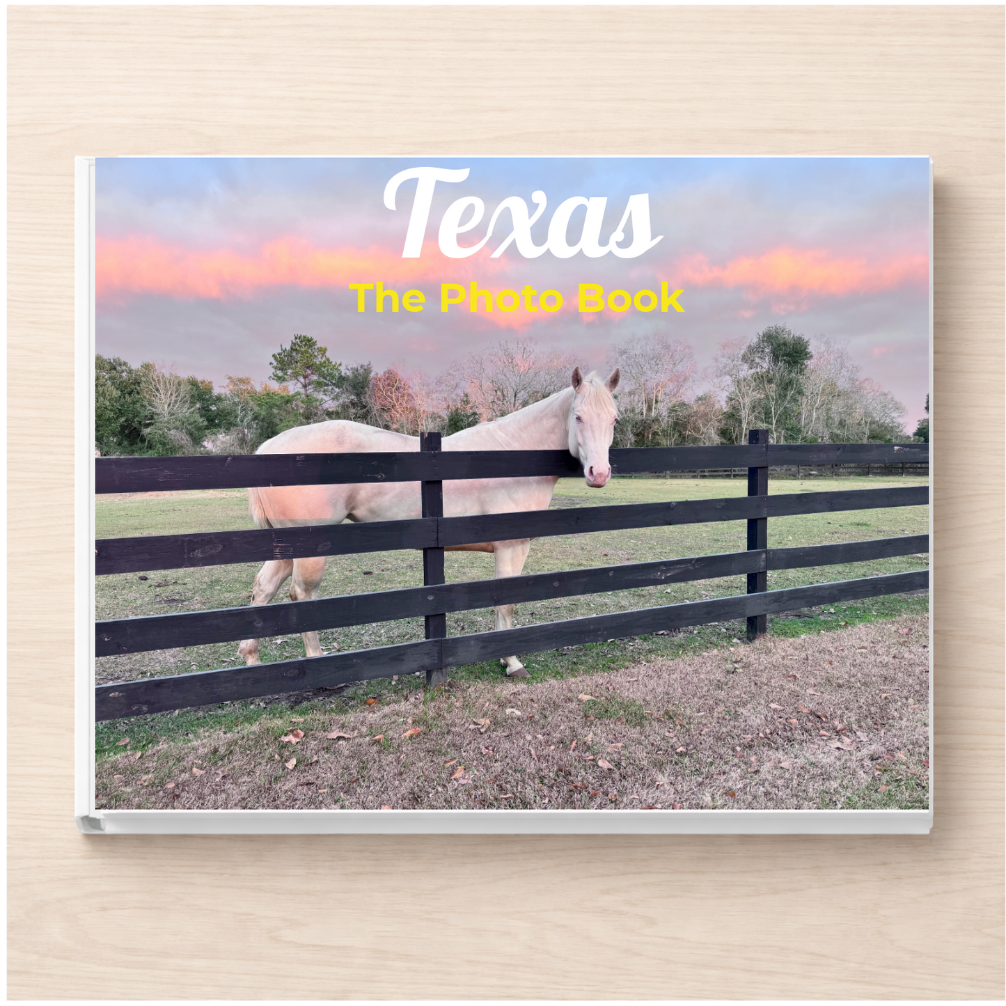 Texas: The Photo Book