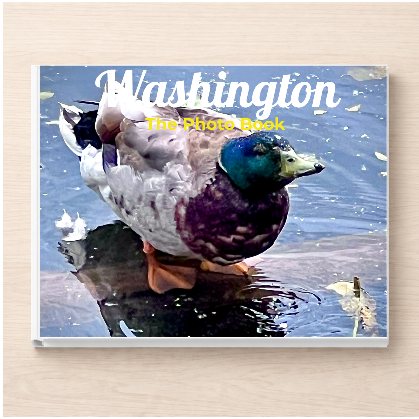 Washington: The Photo Book