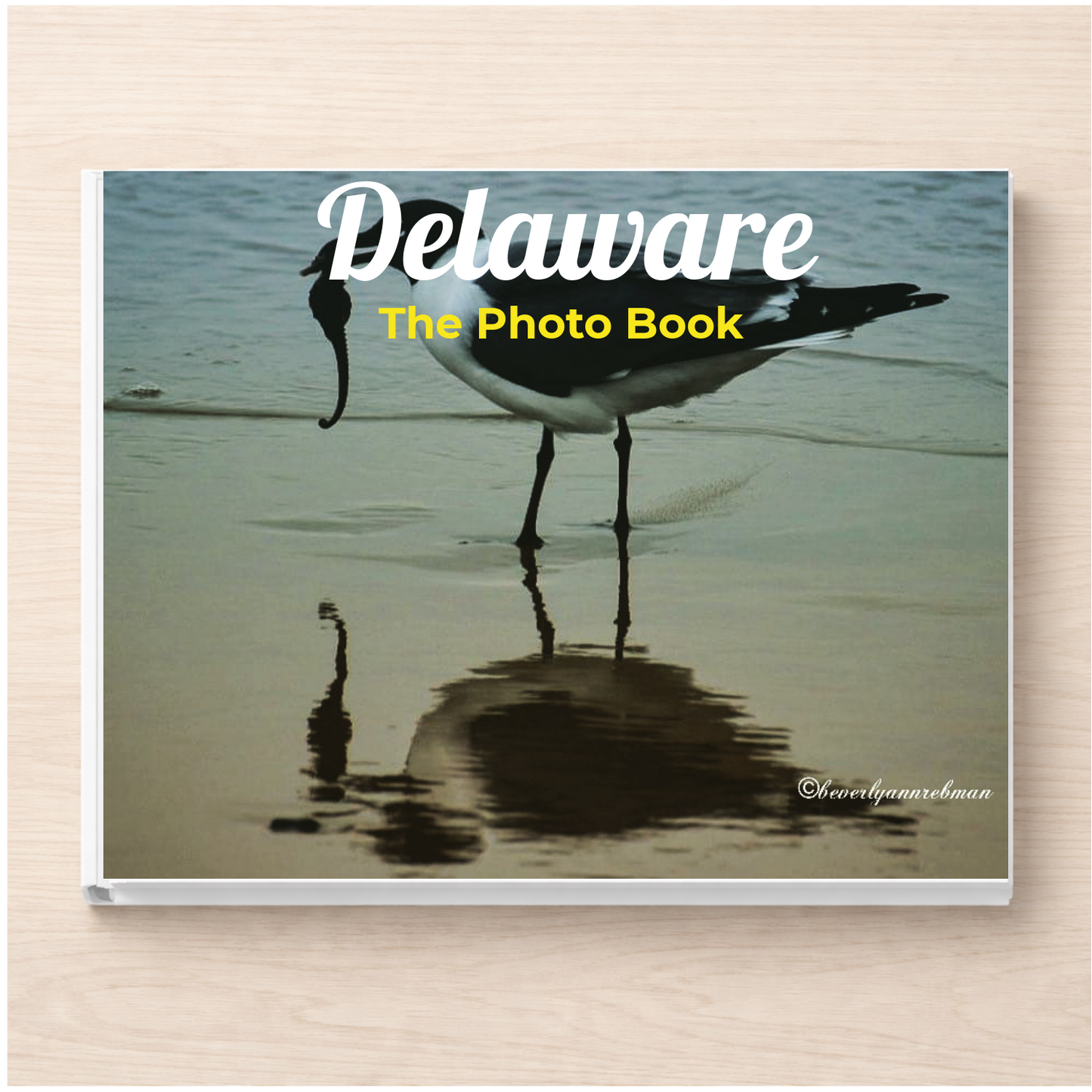 Delaware: The Photo Book