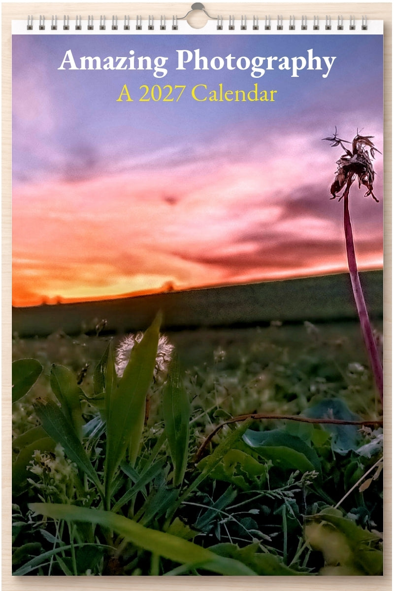 Amazing Photography: A 2027 Calendar