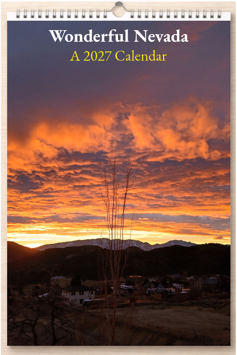 Wonderful Nevada: A 2027 Calendar