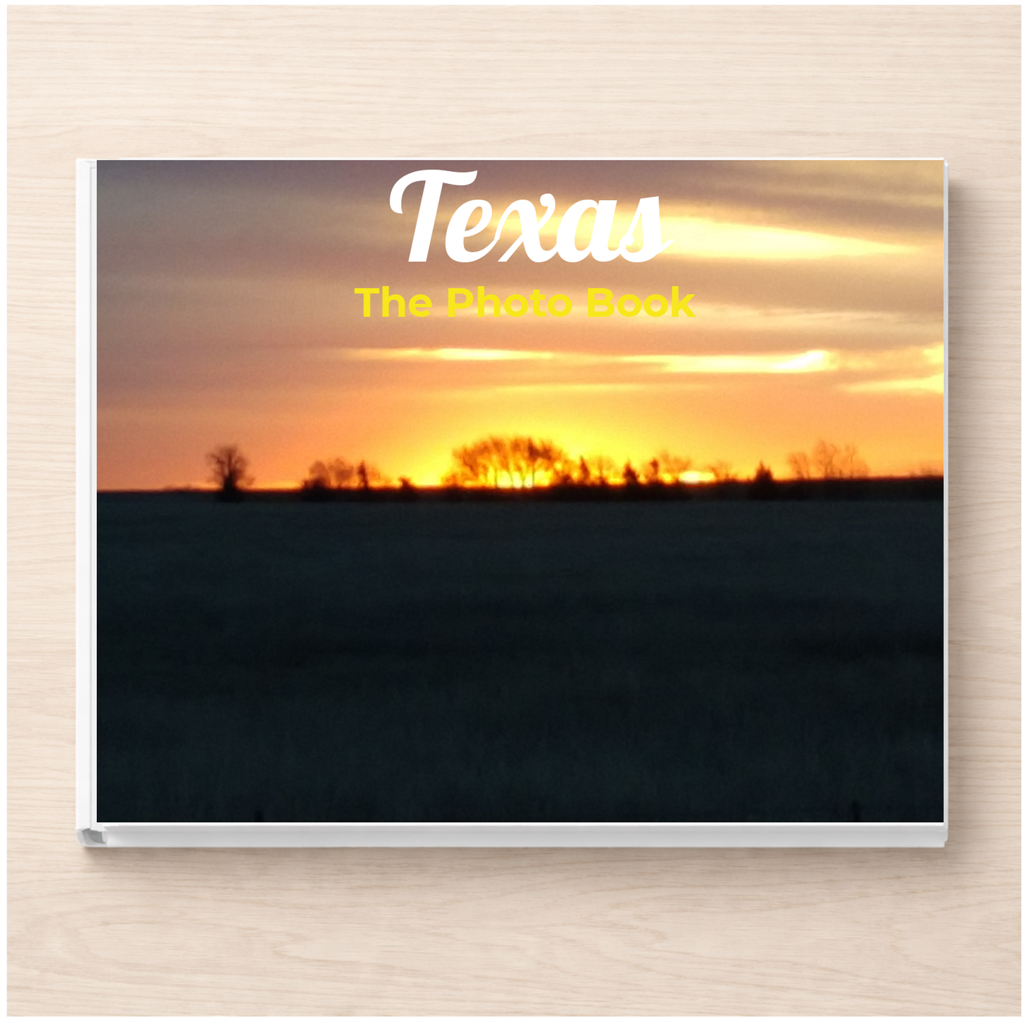 Texas: The Photo Book