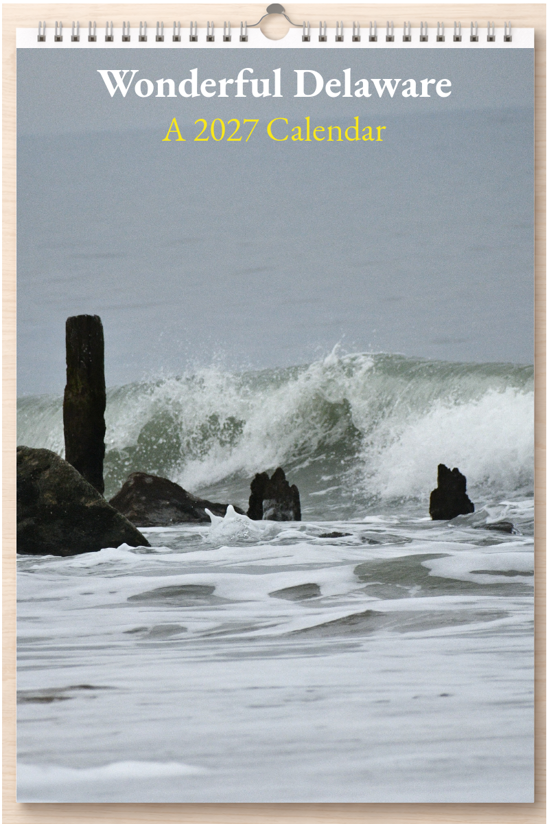Wonderful Delaware: A 2027 Calendar