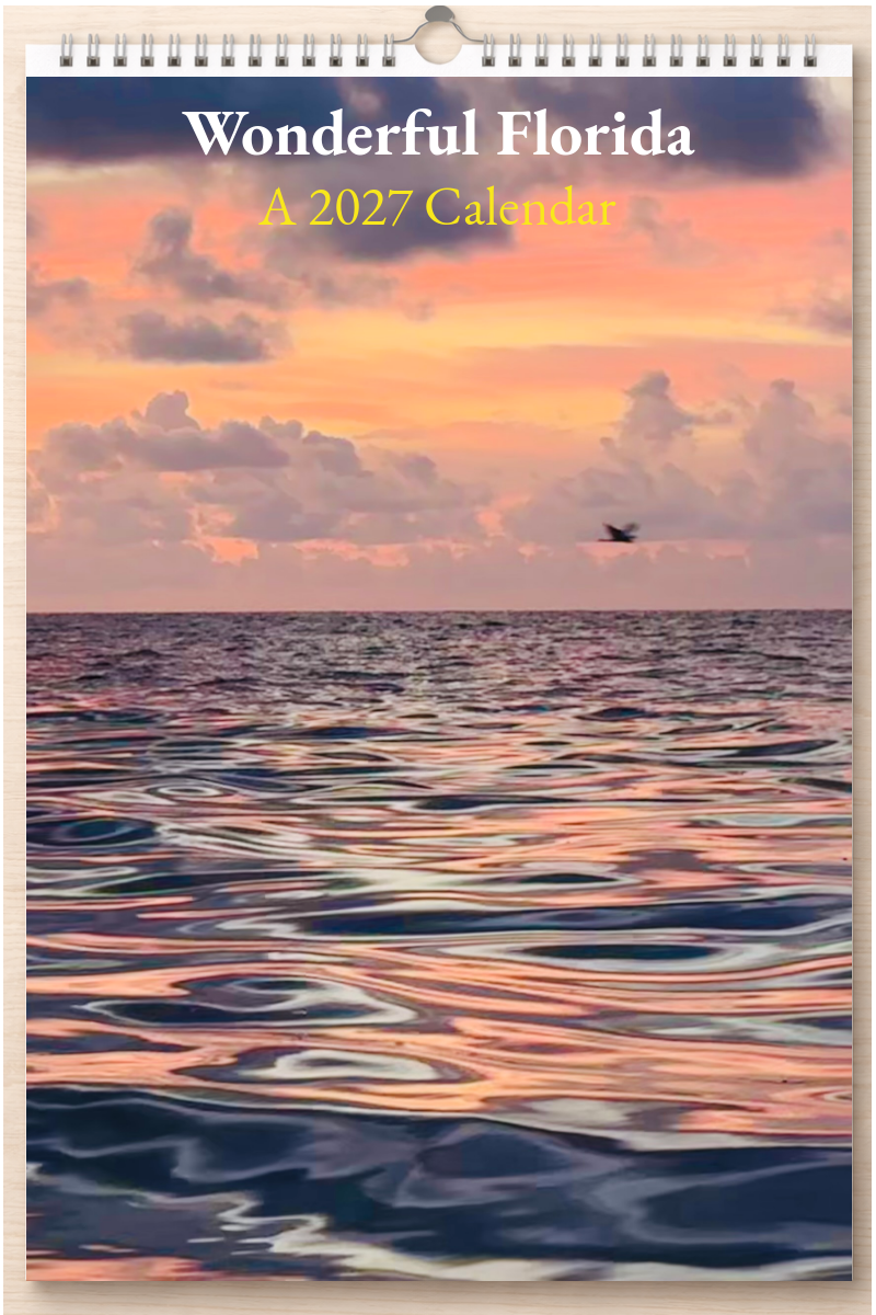 Wonderful Florida: A 2027 Calendar