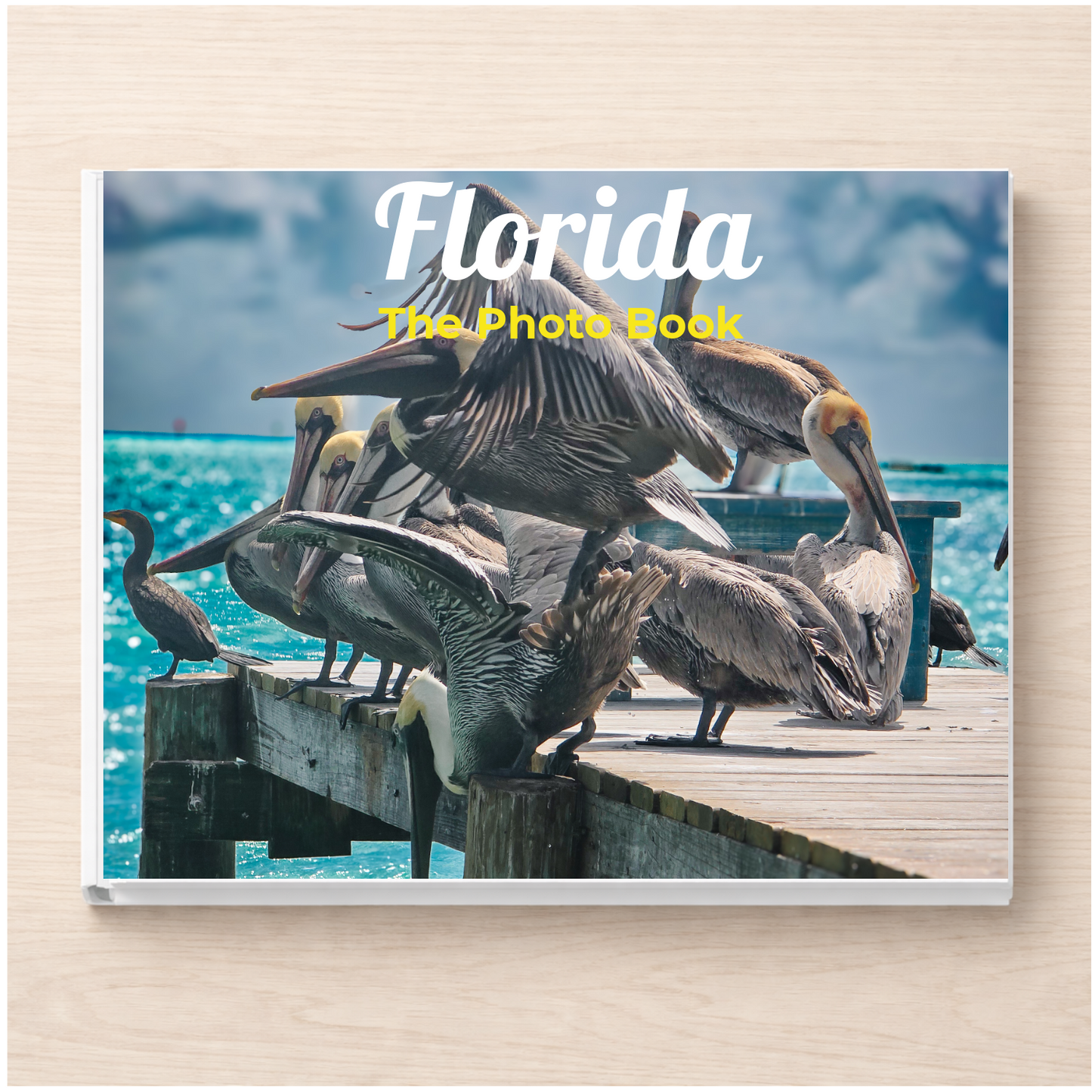 Florida: The Photo Book