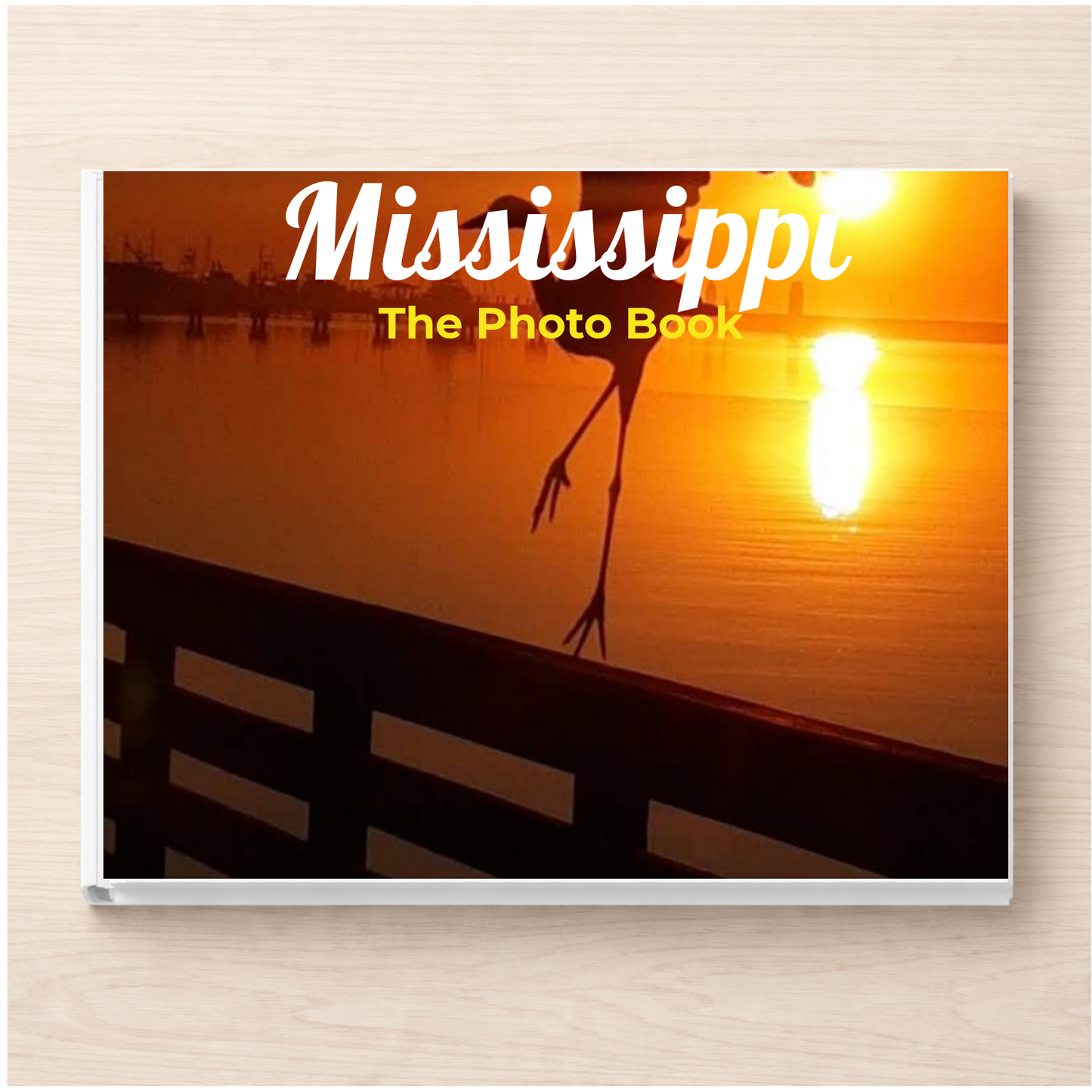 Mississippi: The Photo Book