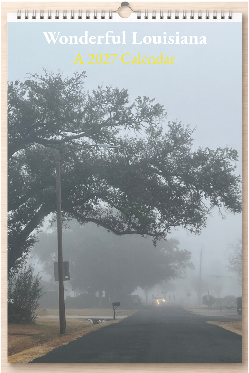 Wonderful Louisiana: A 2027 Calendar
