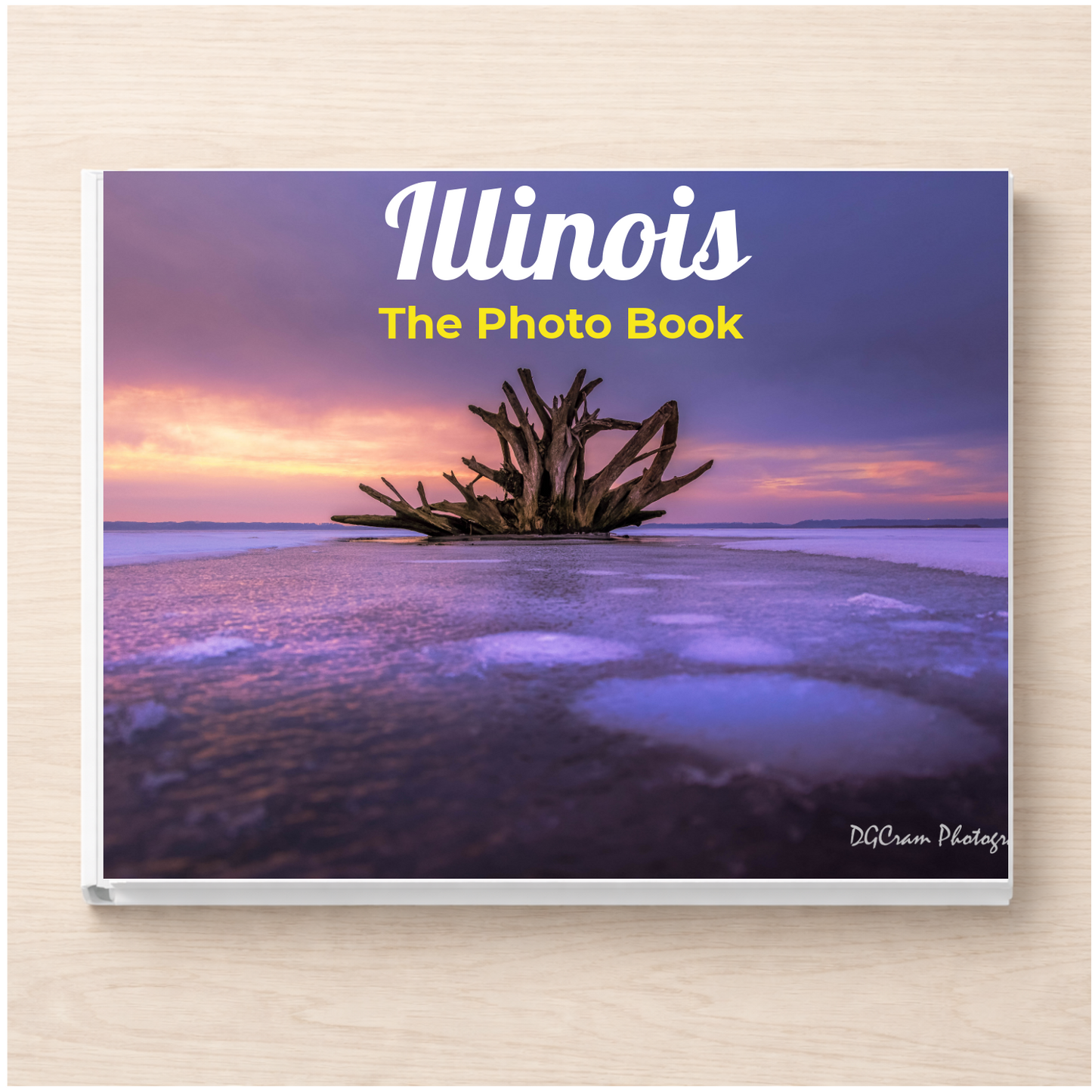 Illinois: The Photo Book