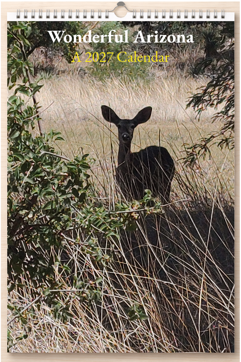 Wonderful Arizona: A 2027 Calendar