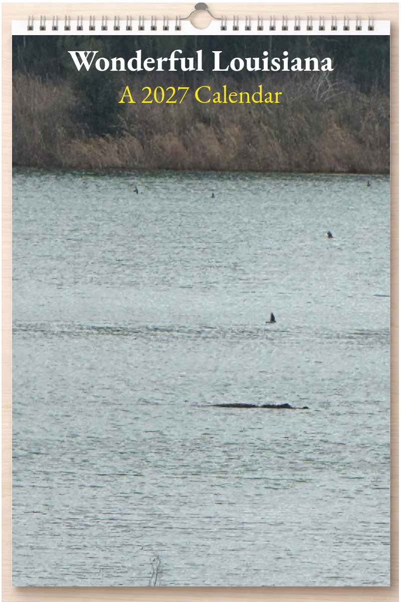 Wonderful Louisiana: A 2027 Calendar