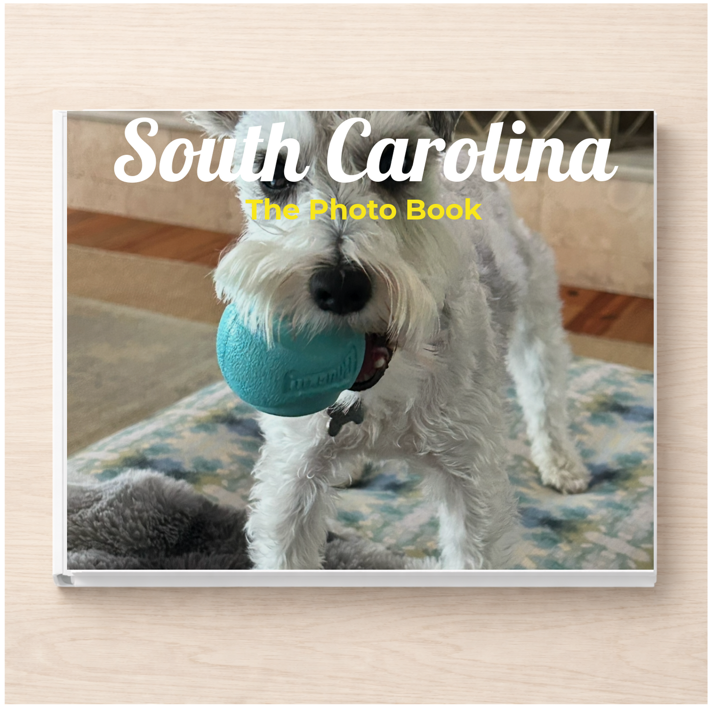 South Carolina: The Photo Book