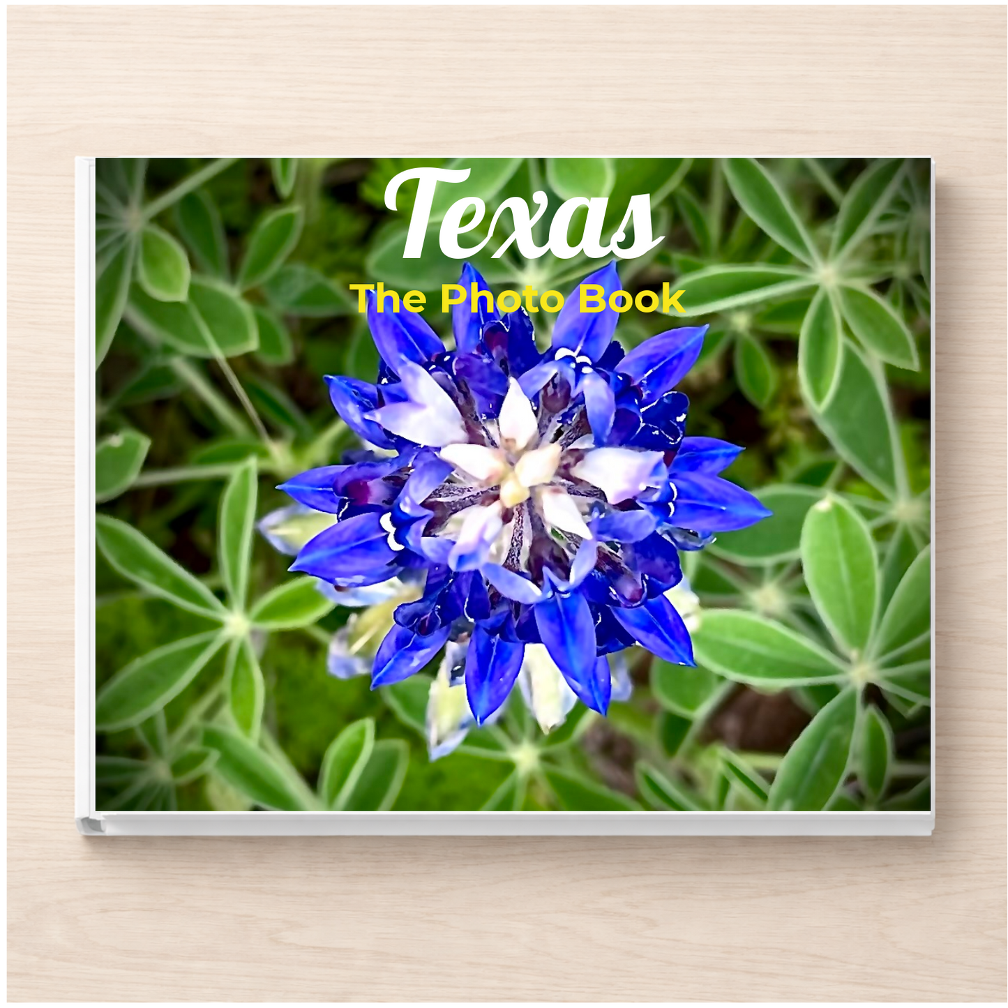 Texas: The Photo Book