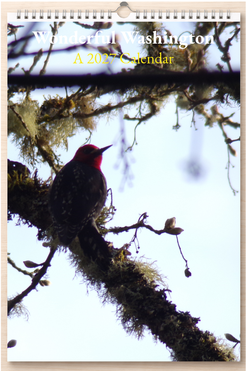Wonderful Washington: A 2027 Calendar