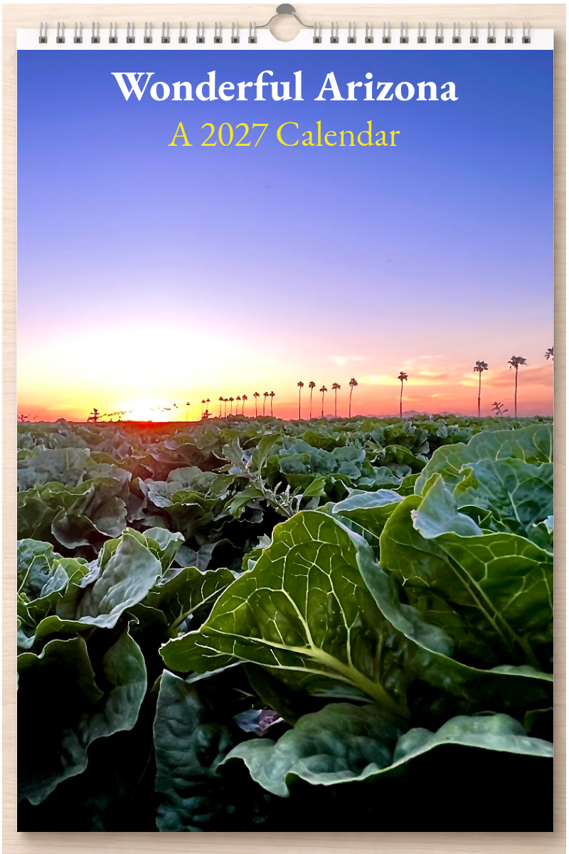 Wonderful Arizona: A 2027 Calendar