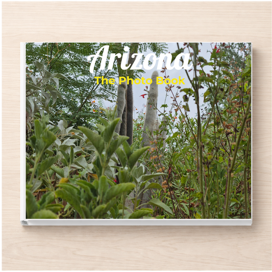 Arizona: The Photo Book