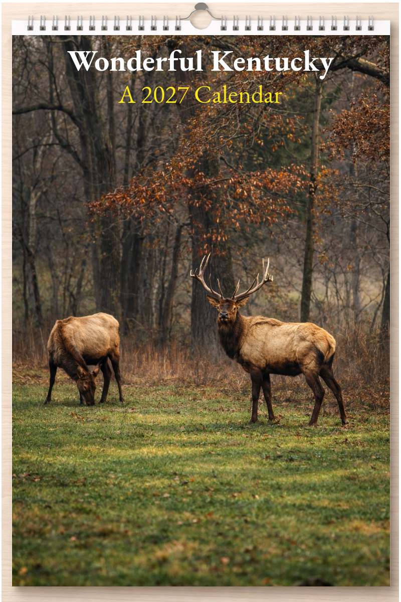 Wonderful Kentucky: A 2027 Calendar
