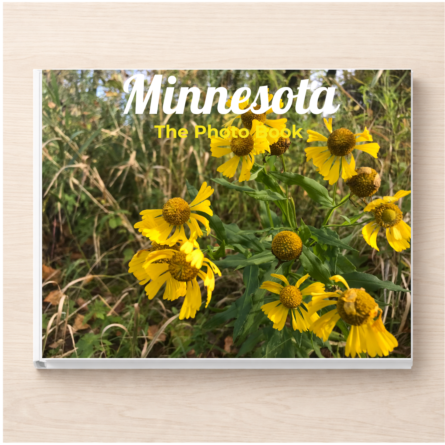 Minnesota: The Photo Book
