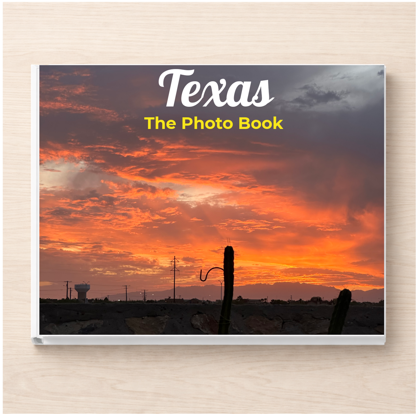 Texas: The Photo Book
