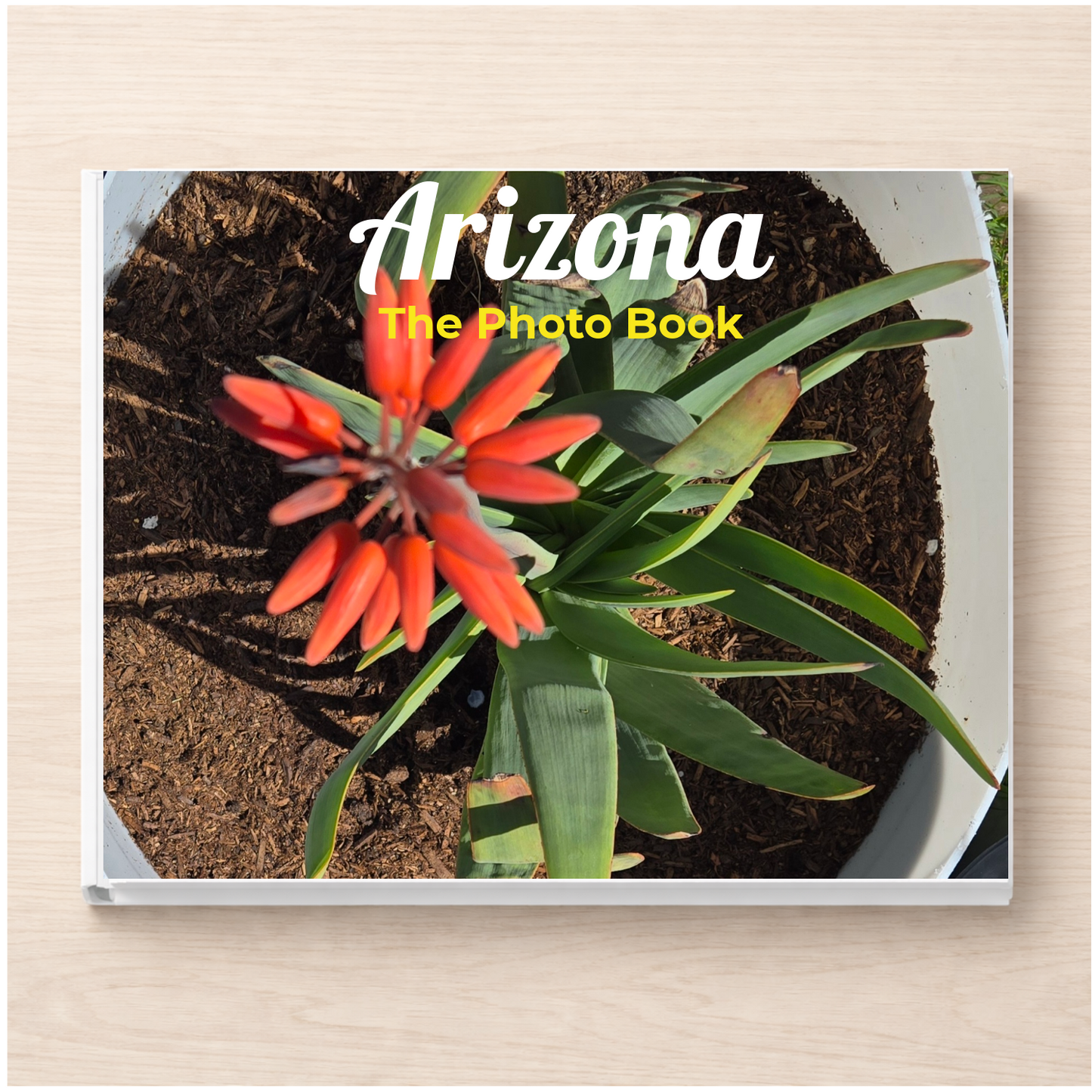 Arizona: The Photo Book