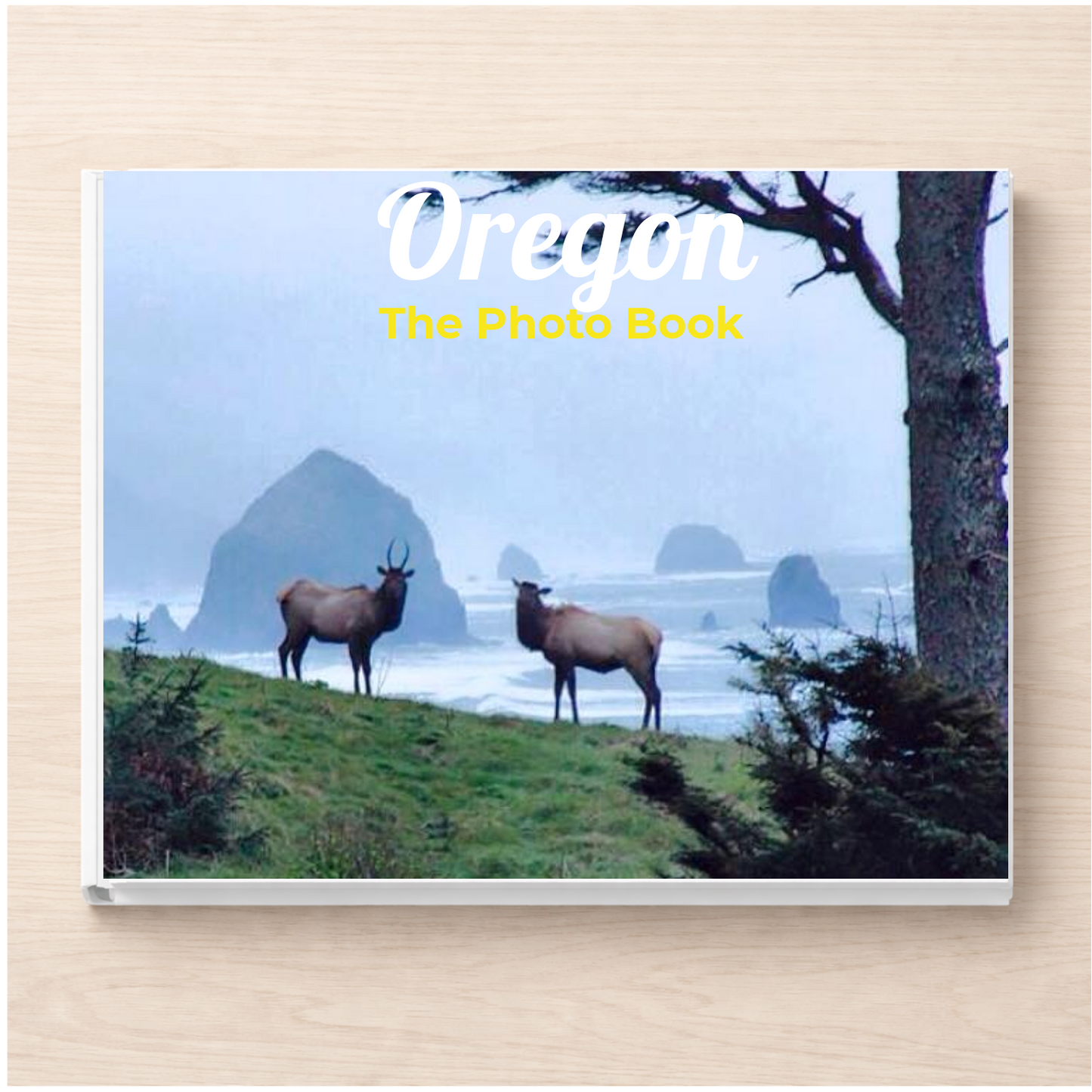 Oregon: The Photo Book