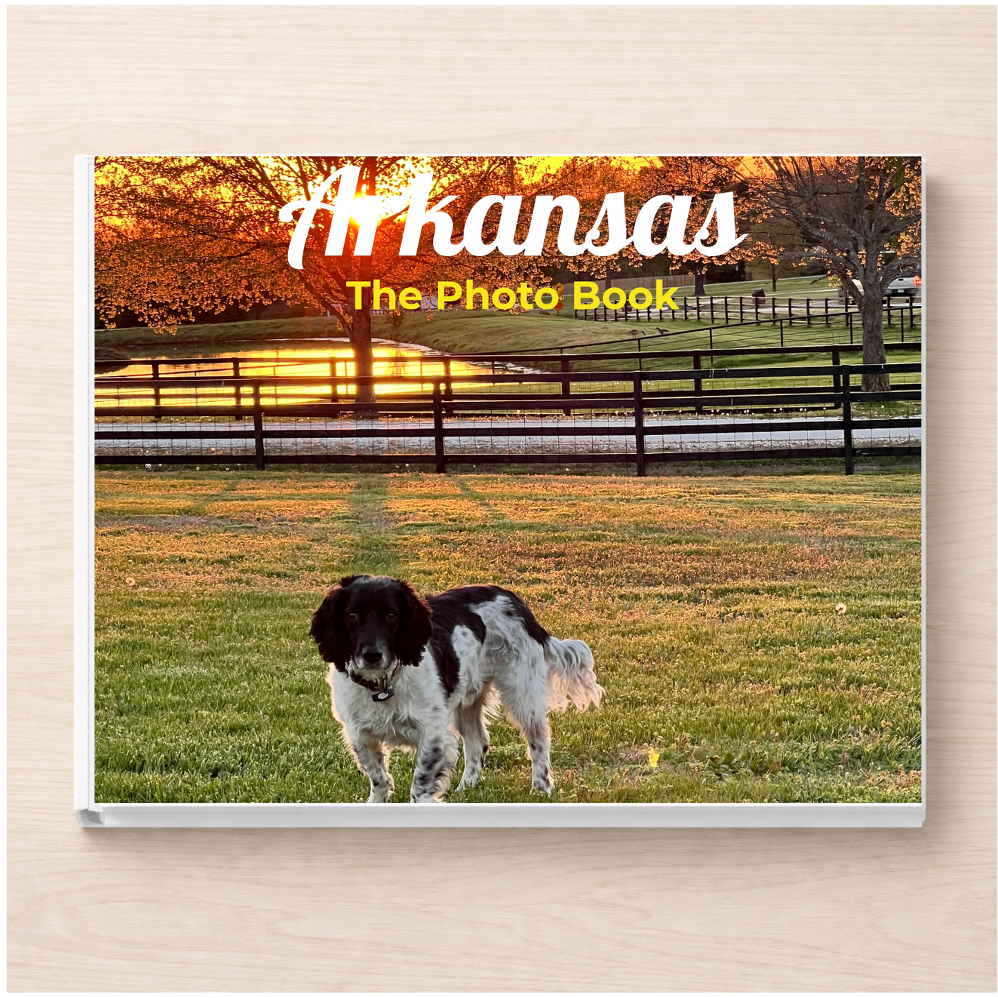 Arkansas: The Photo Book