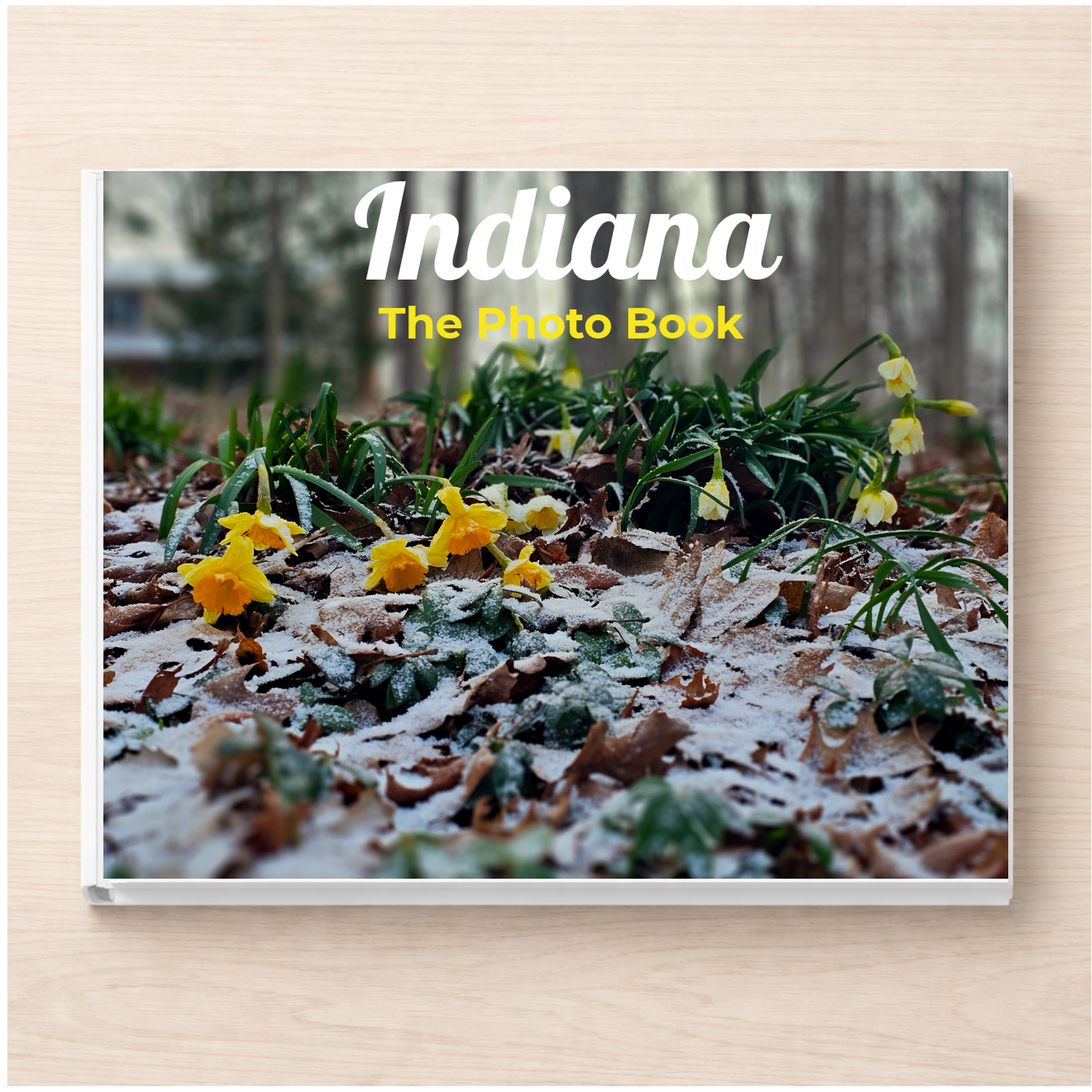 Indiana: The Photo Book