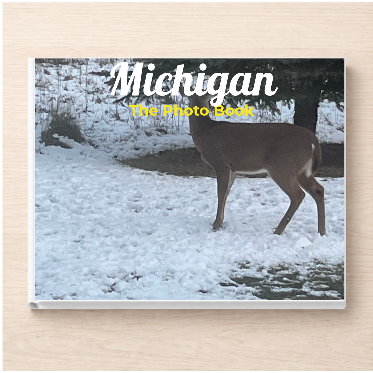 Michigan: The Photo Book