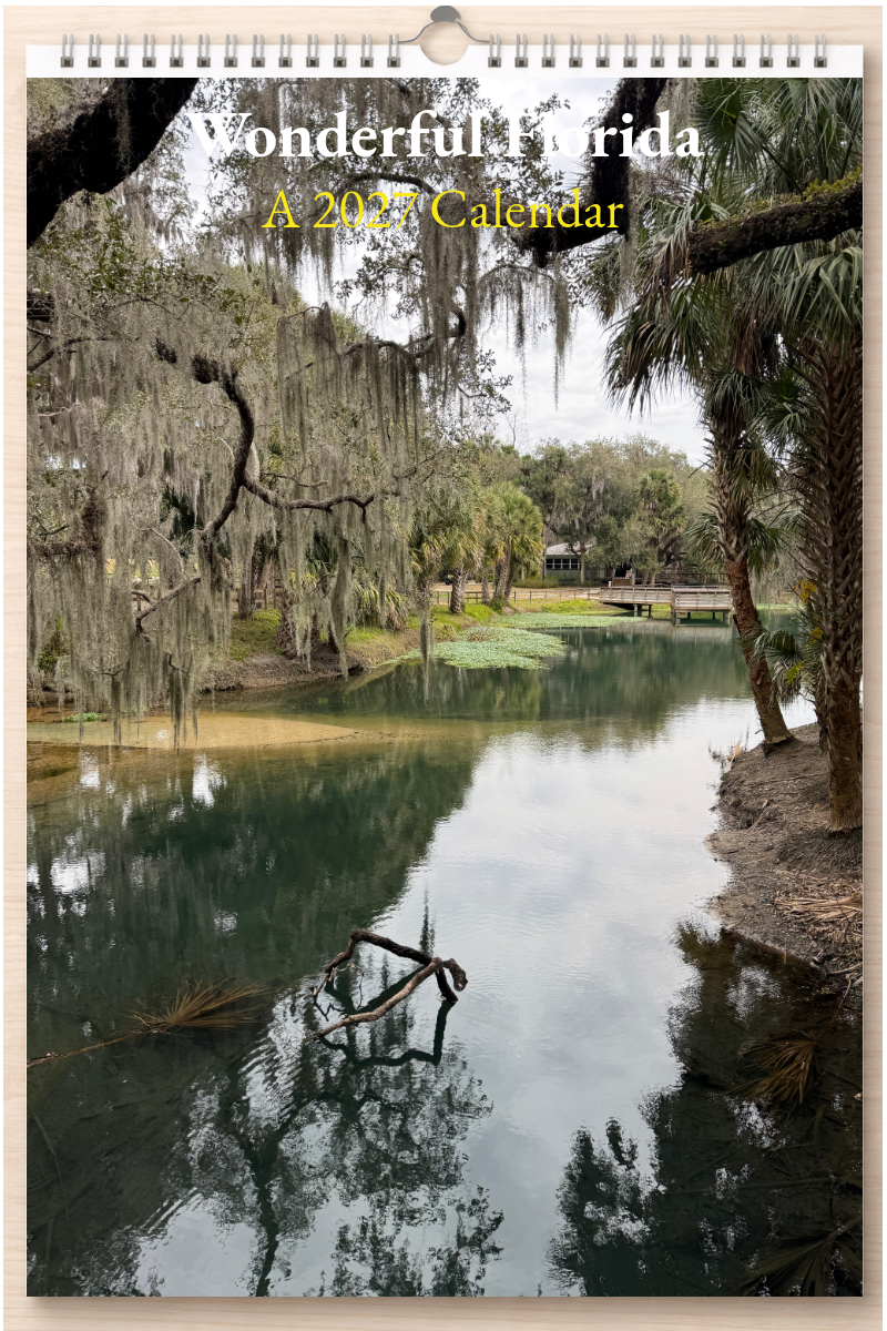 Wonderful Florida: A 2027 Calendar