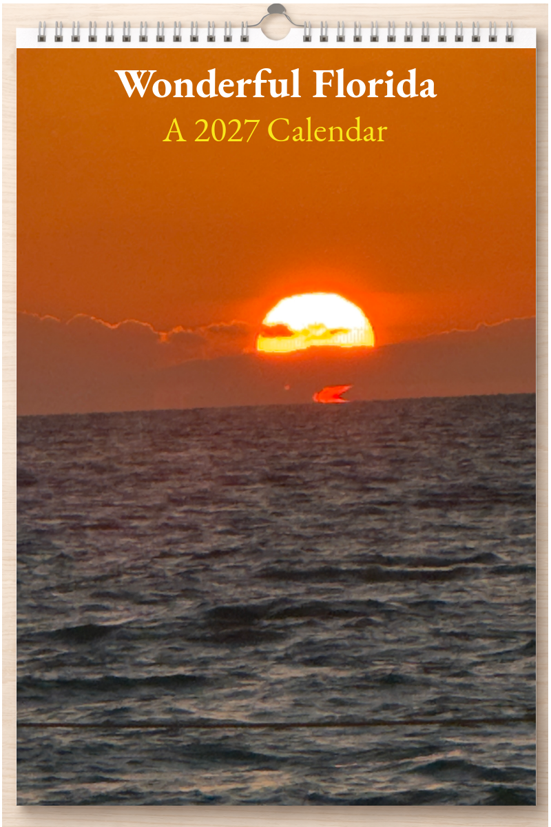 Wonderful Florida: A 2027 Calendar