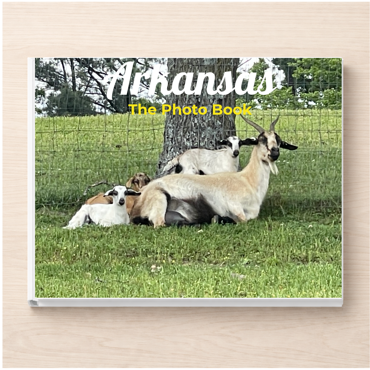 Arkansas: The Photo Book
