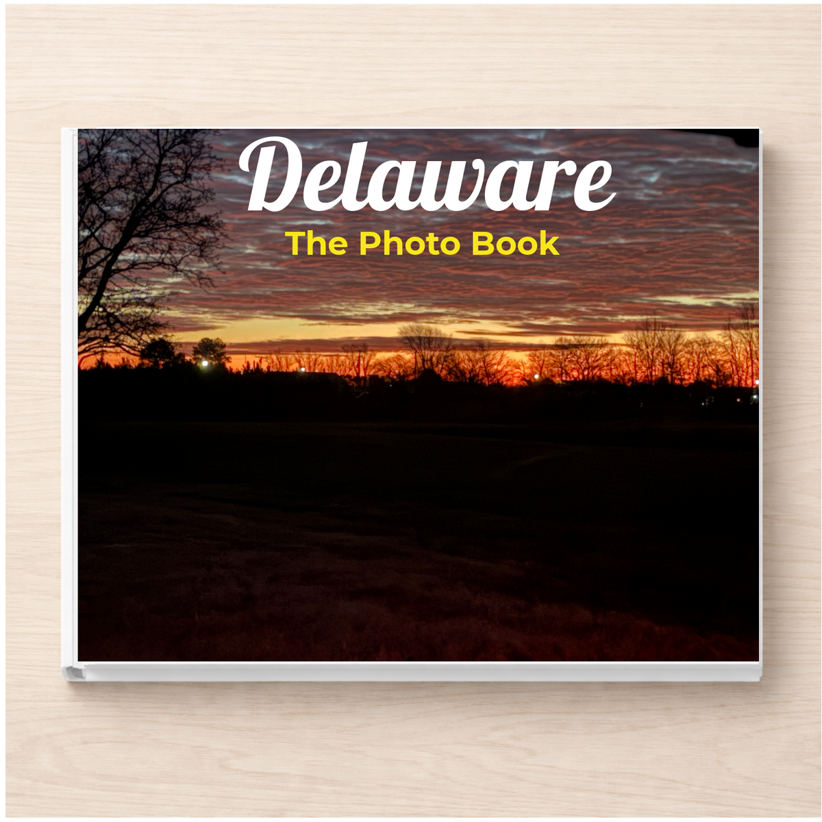 Delaware Book Delaware: The Photo Book – Silent Spark Press