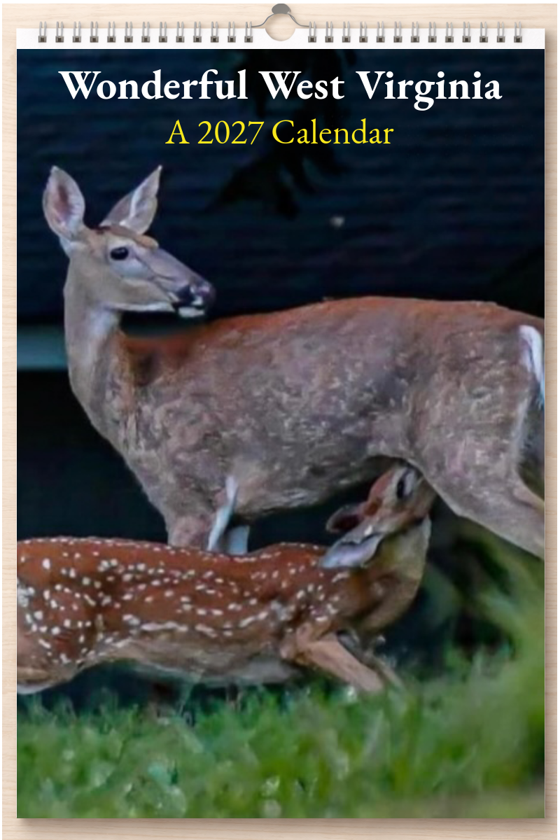 Wonderful West Virginia: A 2027 Calendar