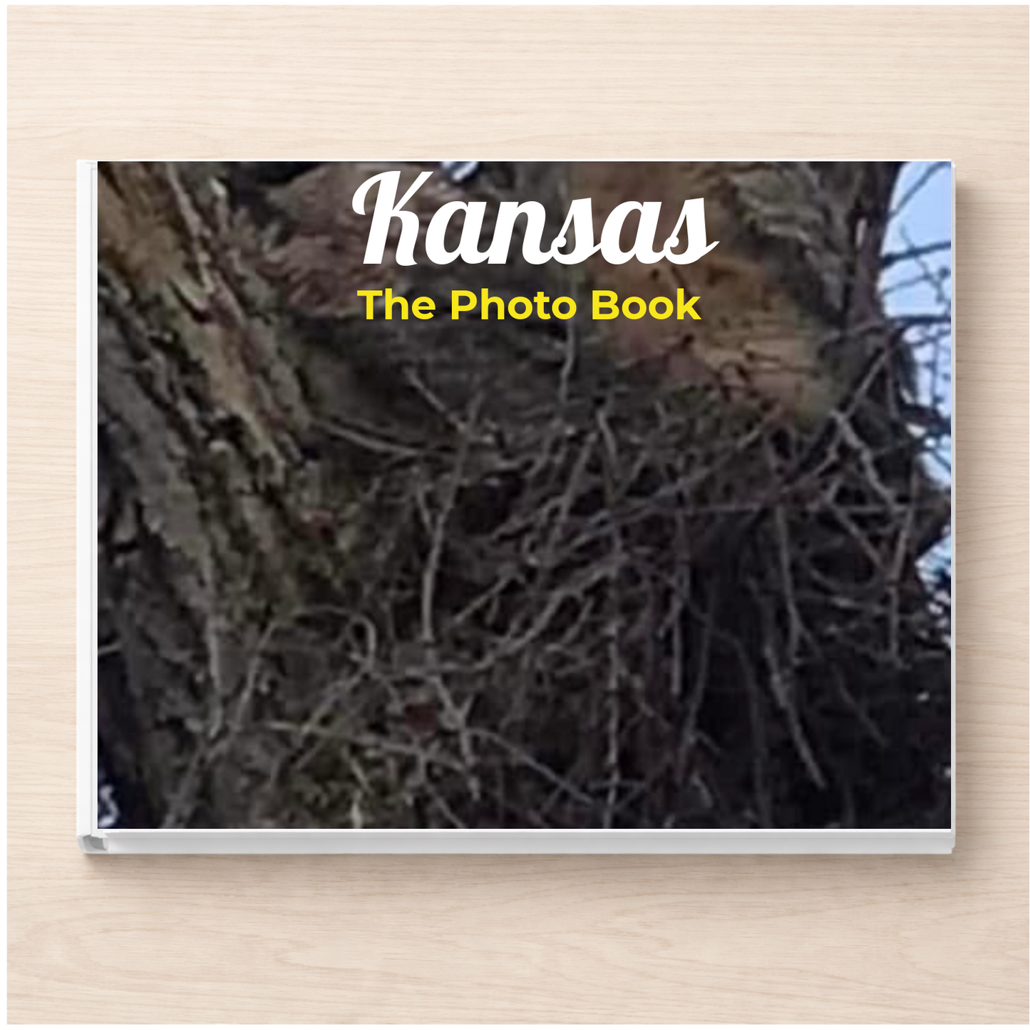 Kansas: The Photo Book