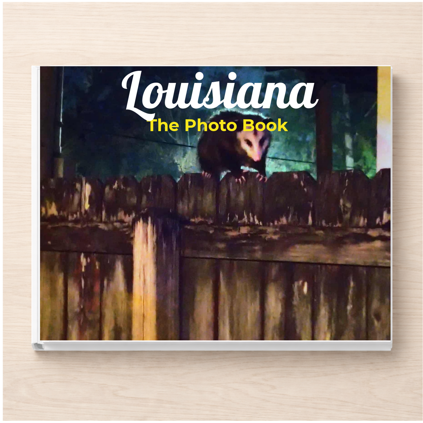 Louisiana: The Photo Book