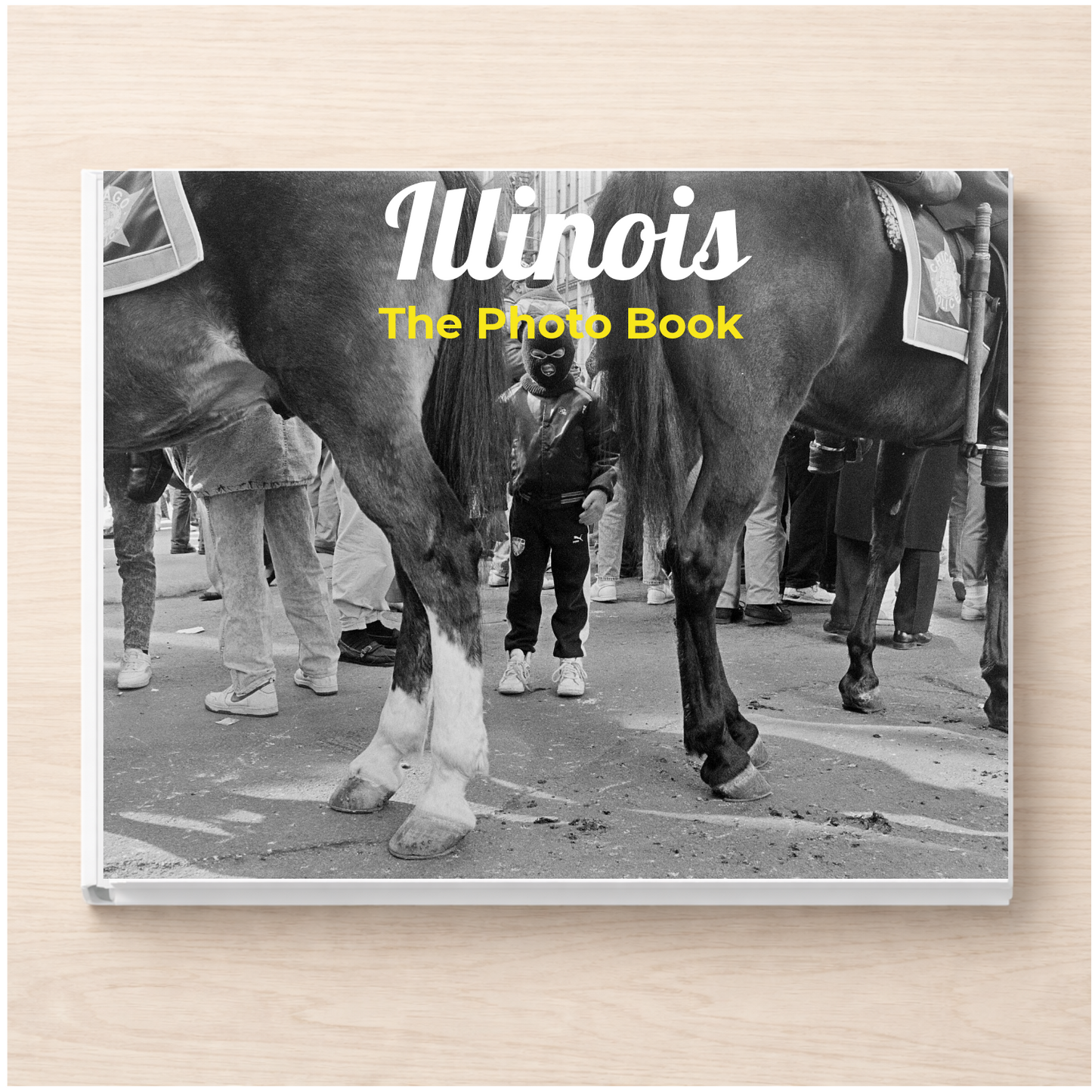Illinois: The Photo Book