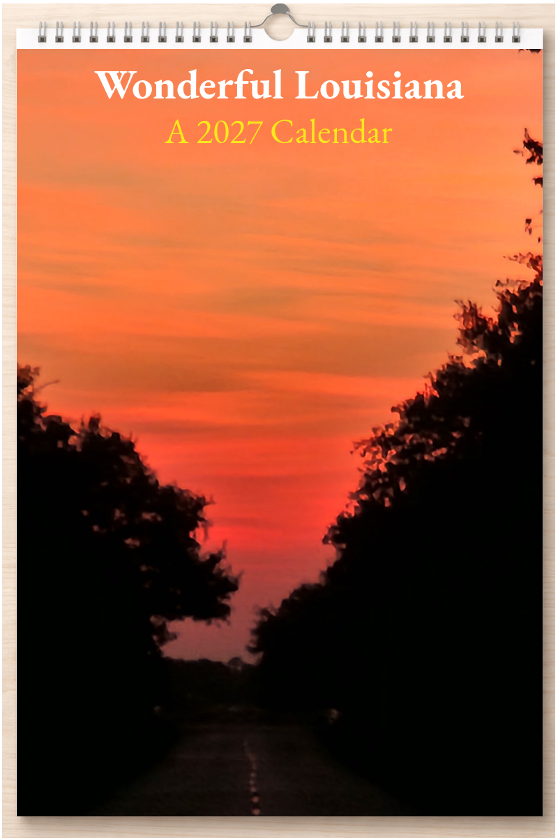 Wonderful Louisiana: A 2027 Calendar