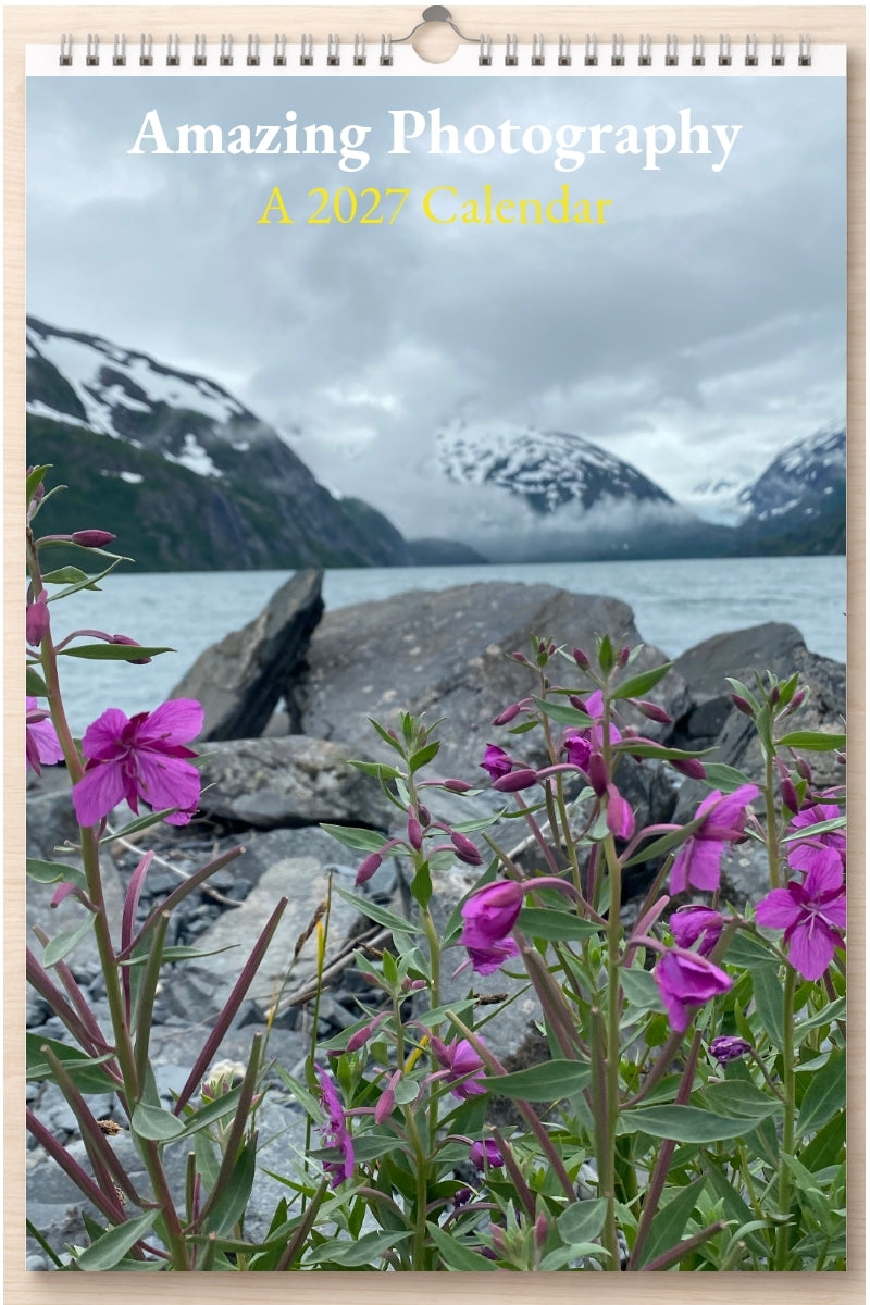 Amazing Photography: A 2027 Calendar