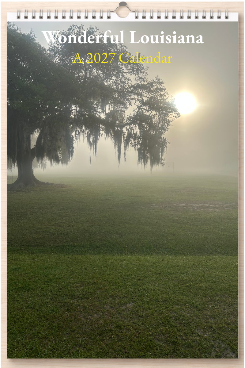 Wonderful Louisiana: A 2027 Calendar
