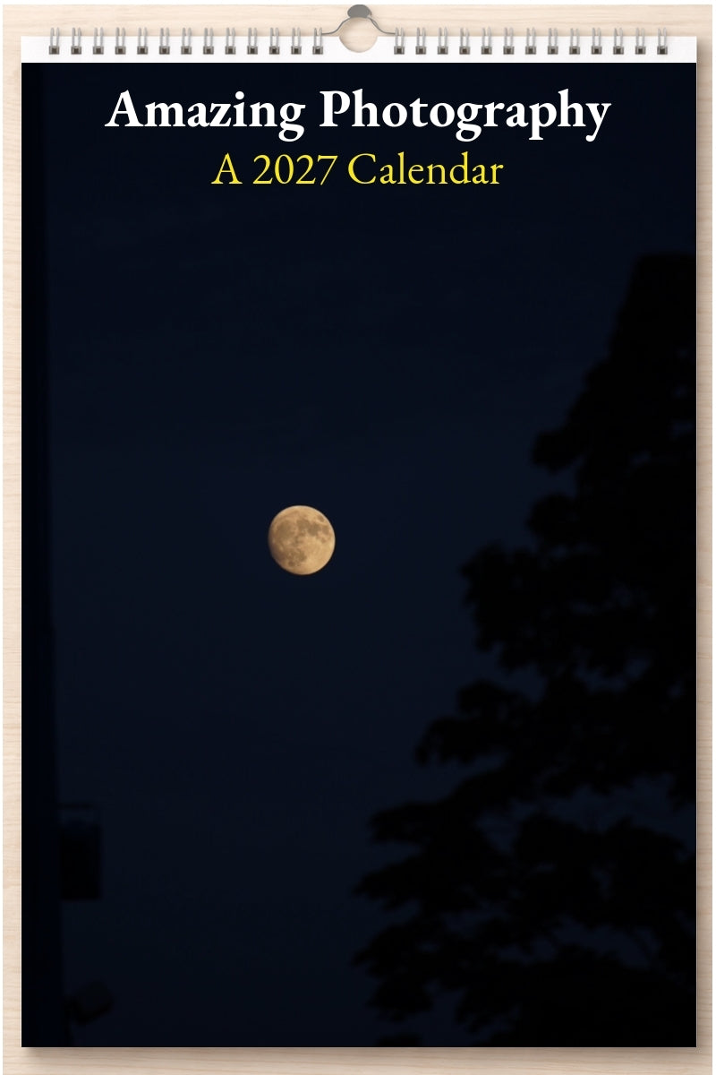 Amazing Photography: A 2027 Calendar