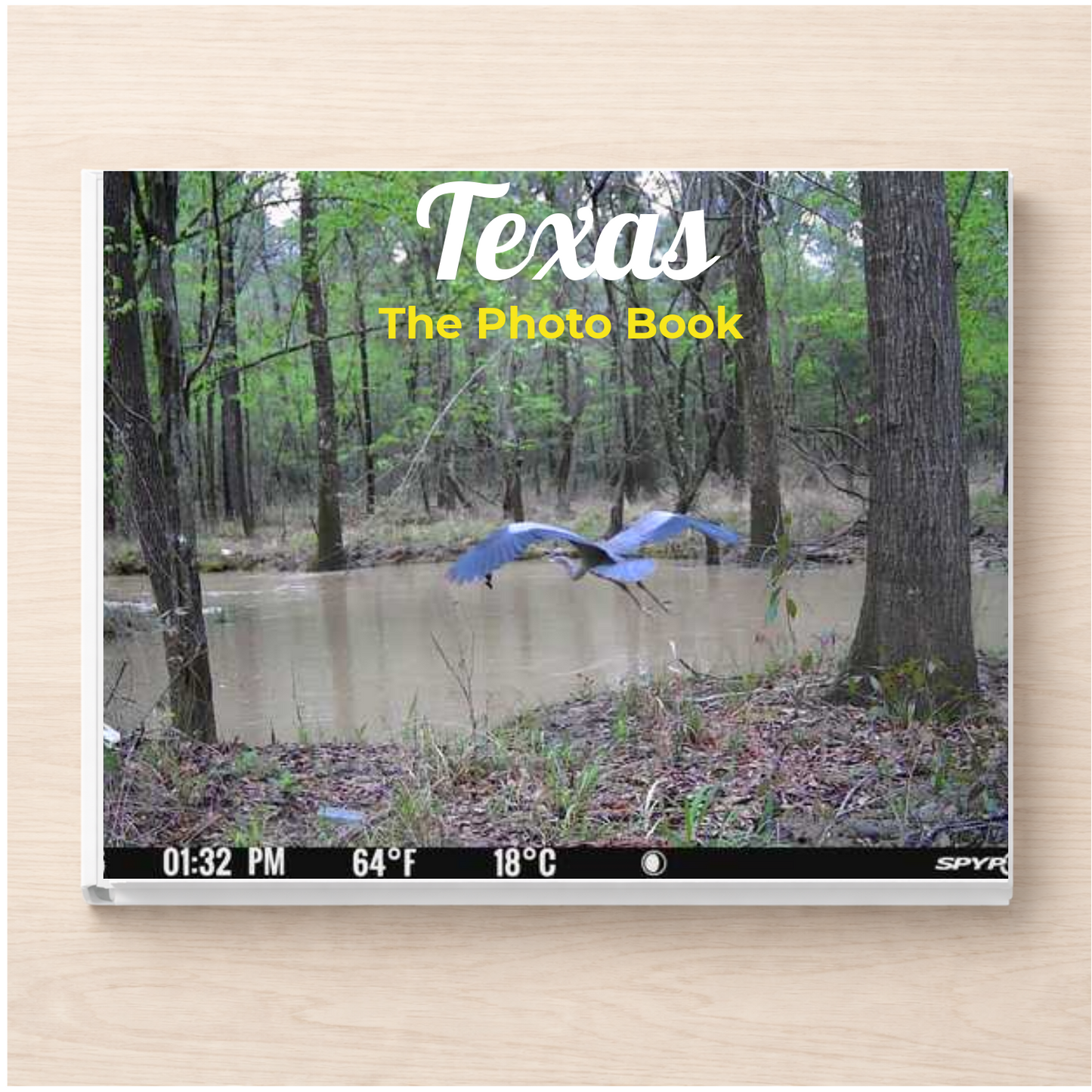 Texas: The Photo Book