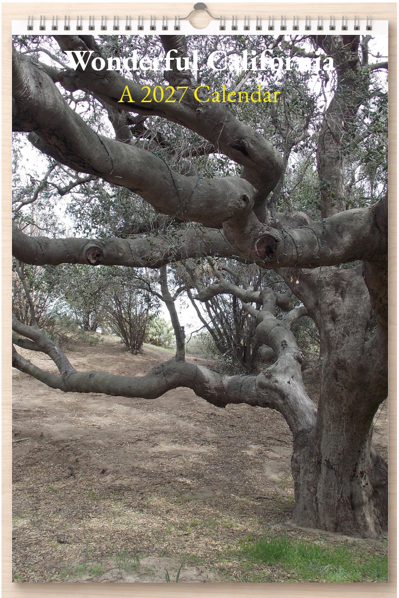 Wonderful California: A 2027 Calendar