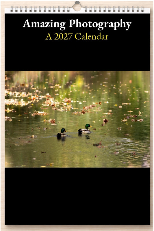 Amazing Photography: A 2027 Calendar