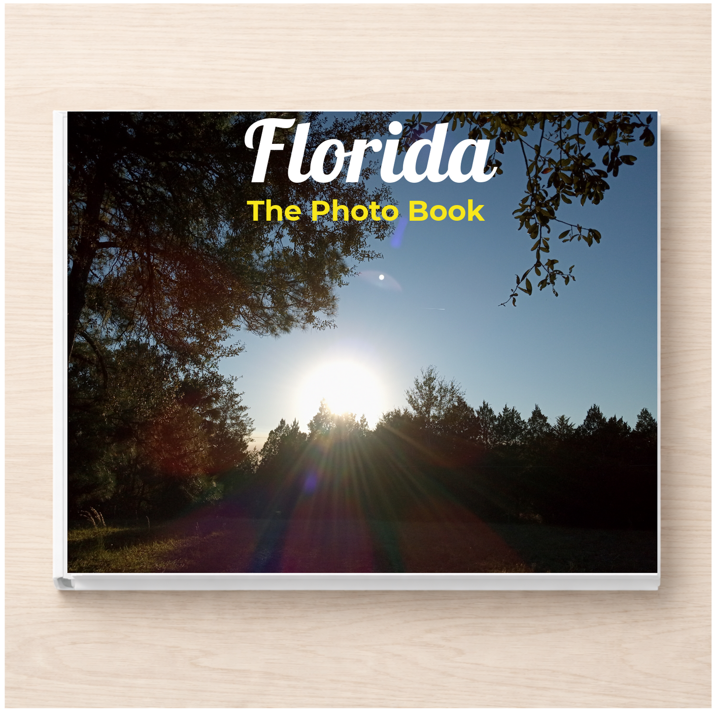 Florida: The Photo Book