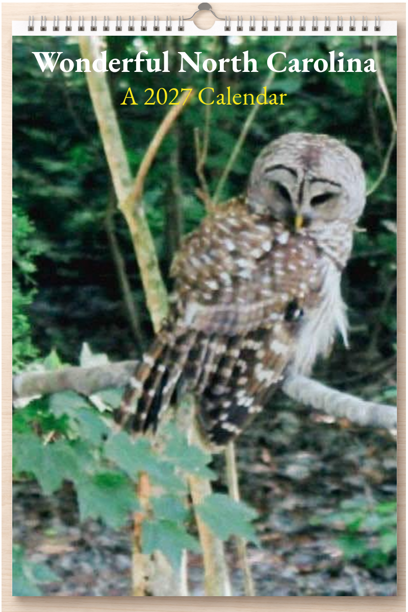 Wonderful North Carolina: A 2027 Calendar