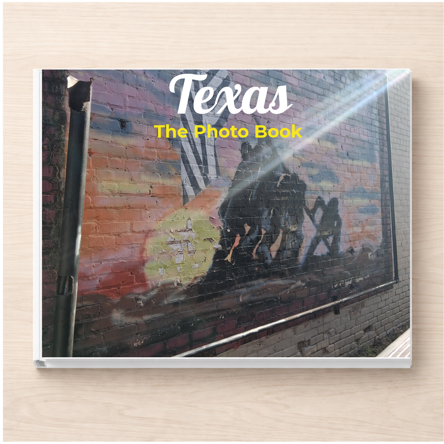 Texas: The Photo Book