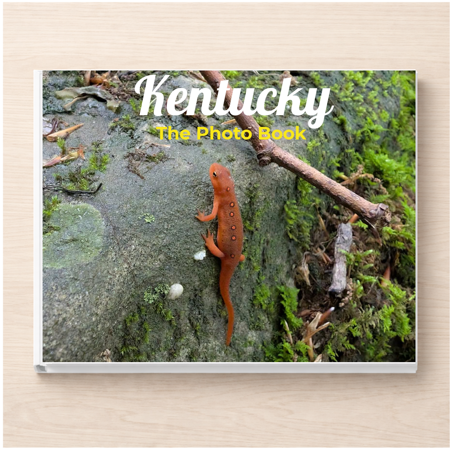 Kentucky: The Photo Book
