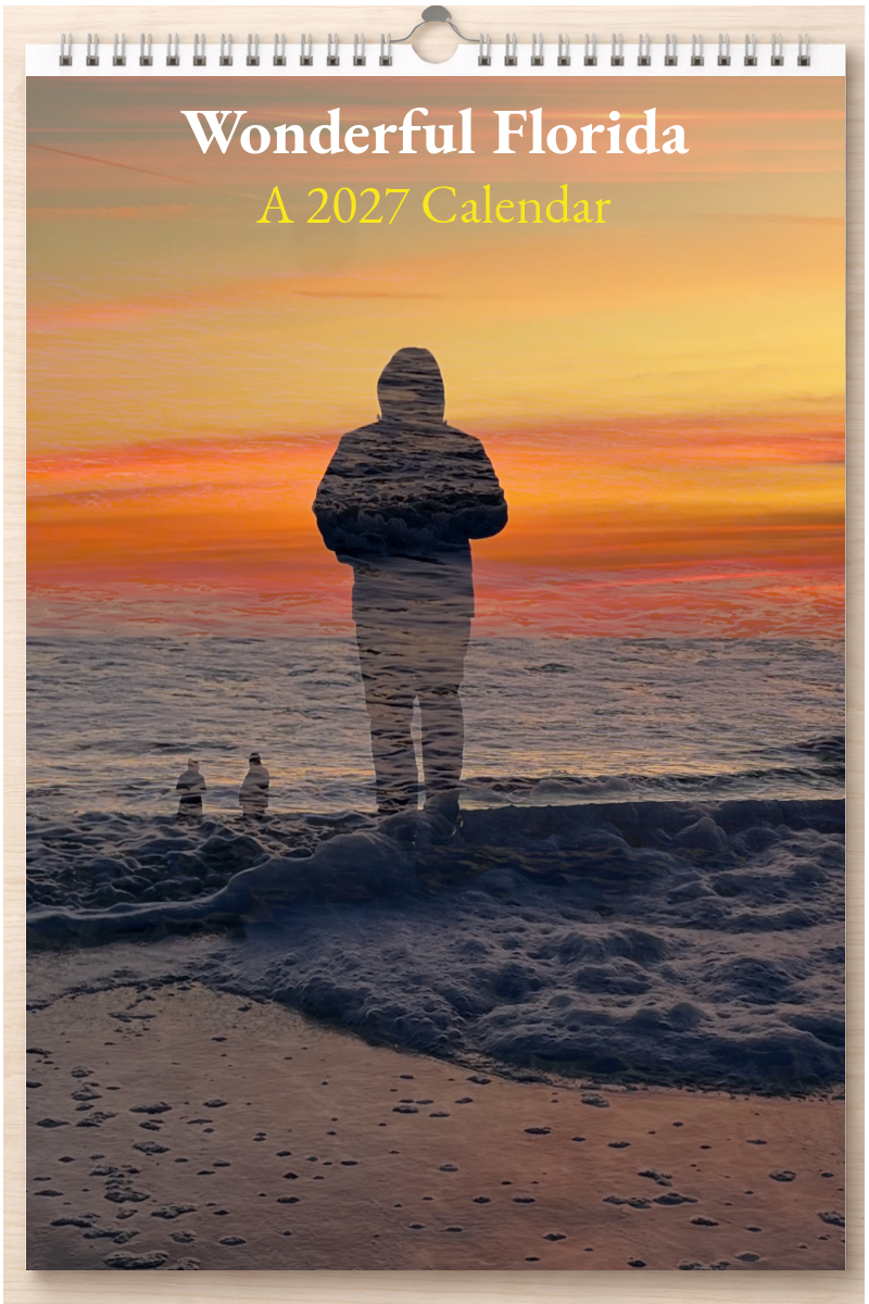 Wonderful Florida: A 2027 Calendar