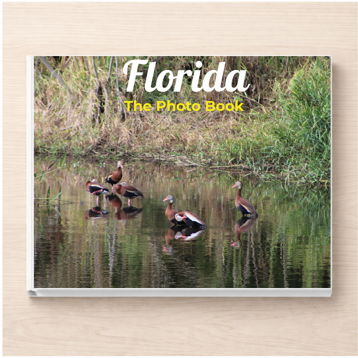 Florida: The Photo Book