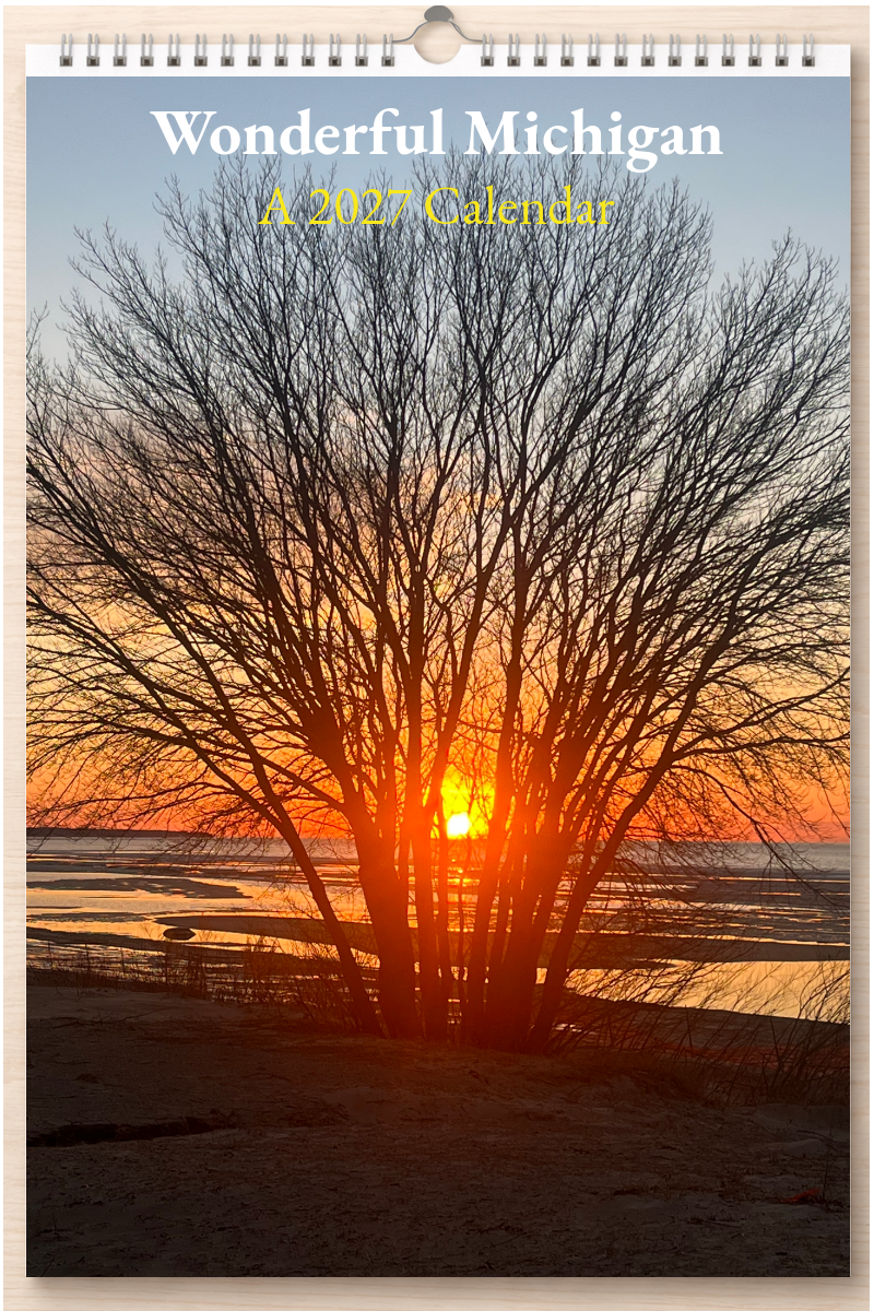 Wonderful Michigan: A 2027 Calendar